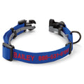Personalized Flea and Tick Collar V97642