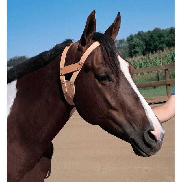 Leather Collar Q7480