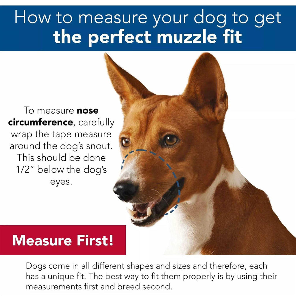 Muzzle R873907