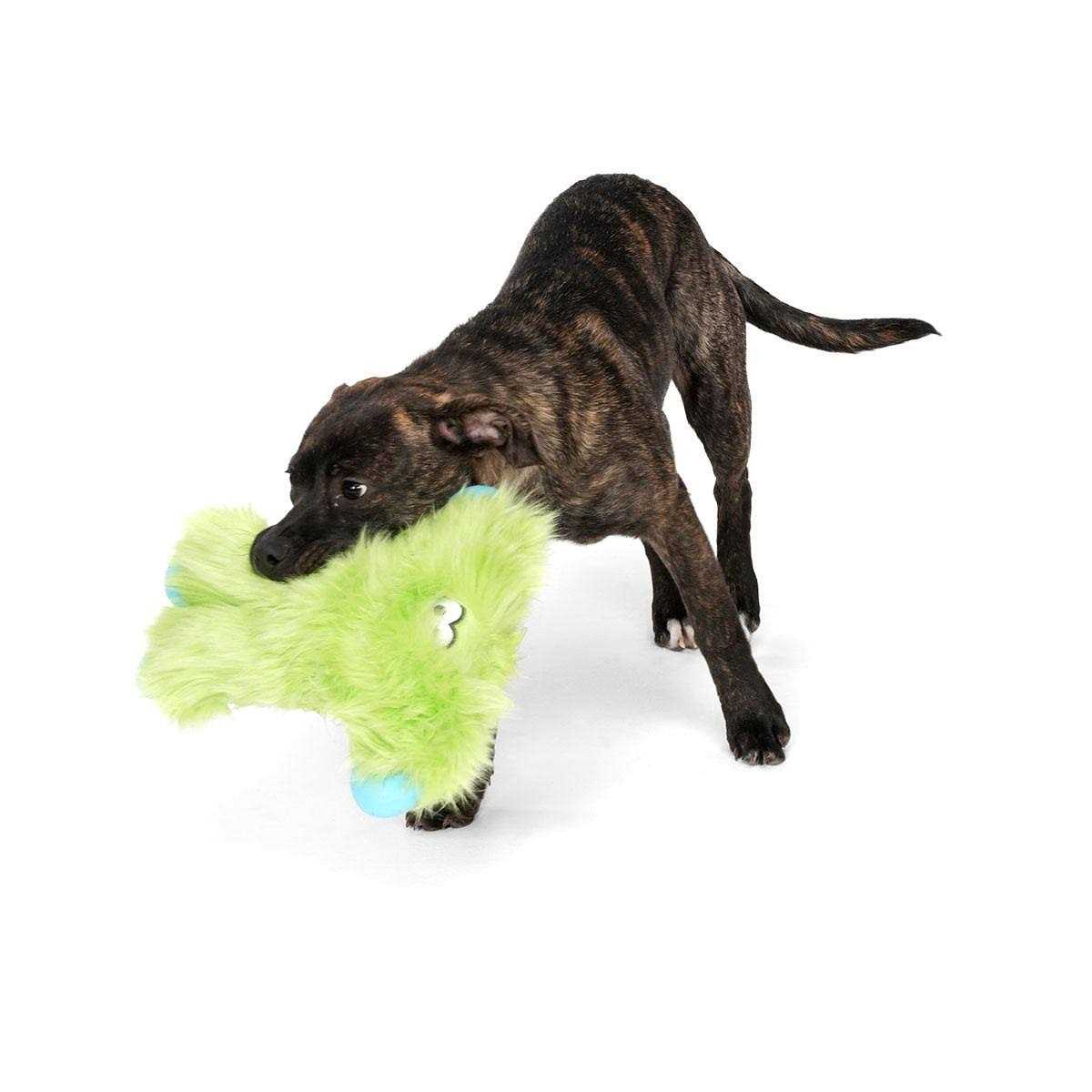 Dog Toy K78216