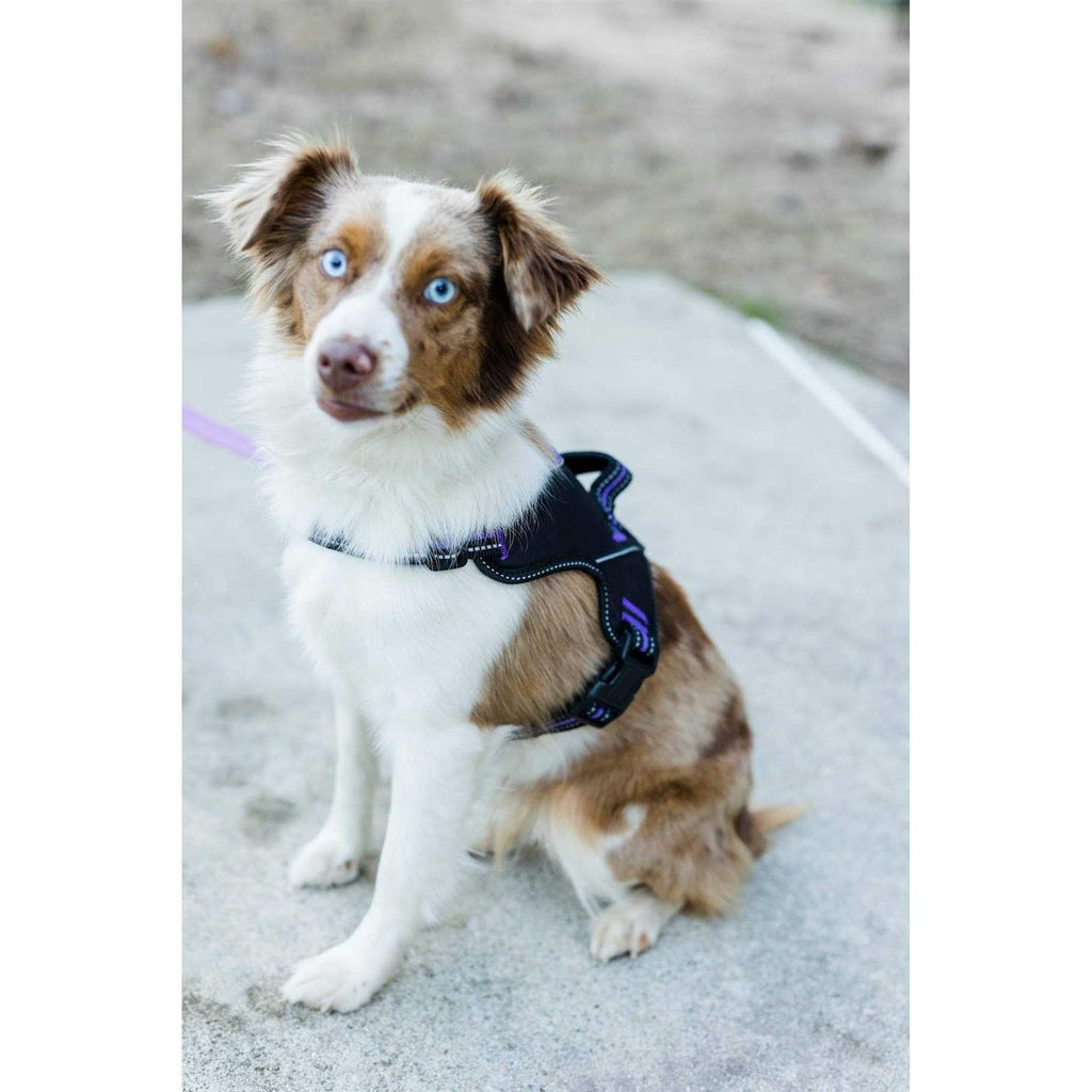Doggy Tales Patented Hart Harness K39977