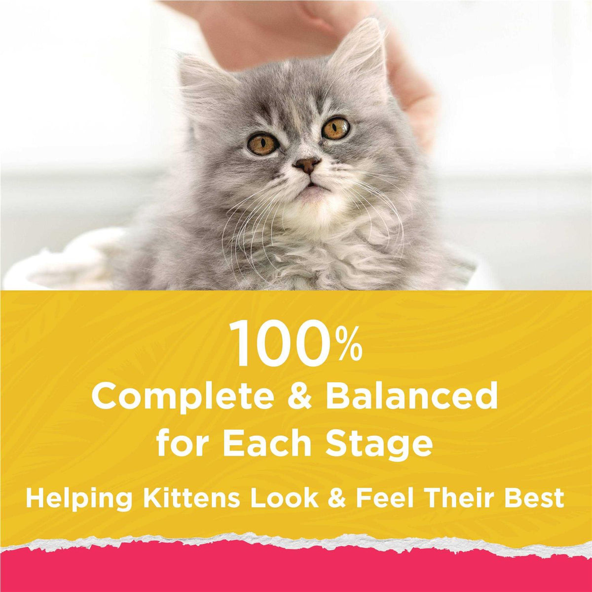 High Protein Cat Food with Added Vitamins D335