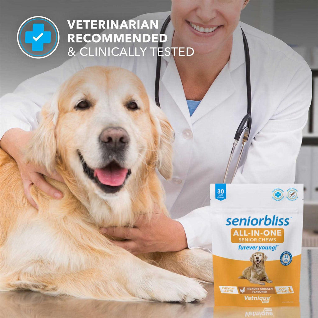 Senior Dogs Supplement B6234