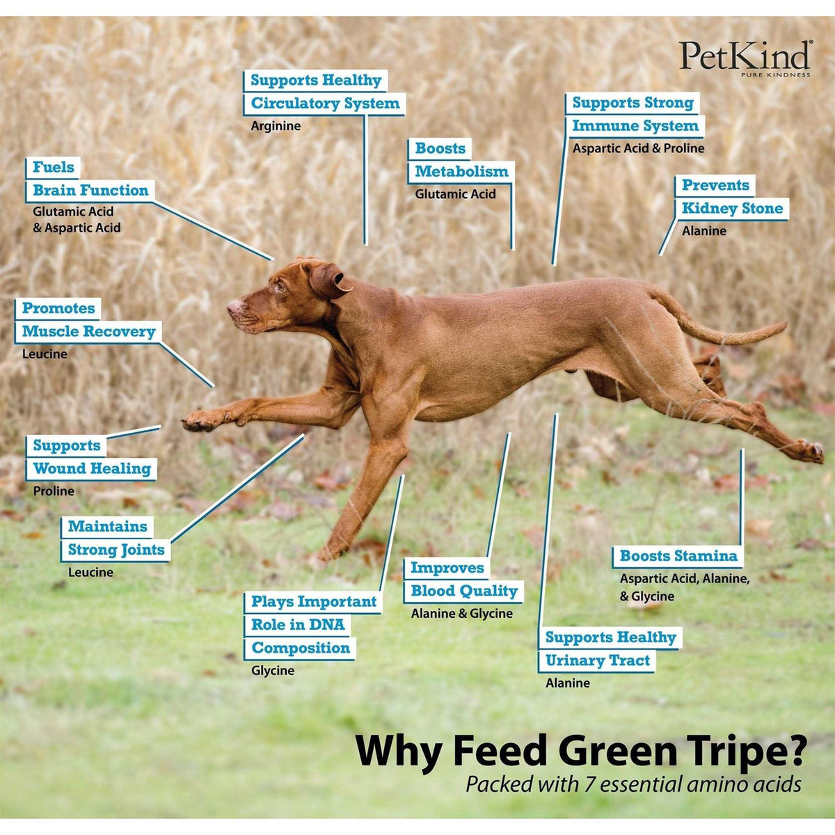 Beef Tripe Formula Dry Dog Food M262