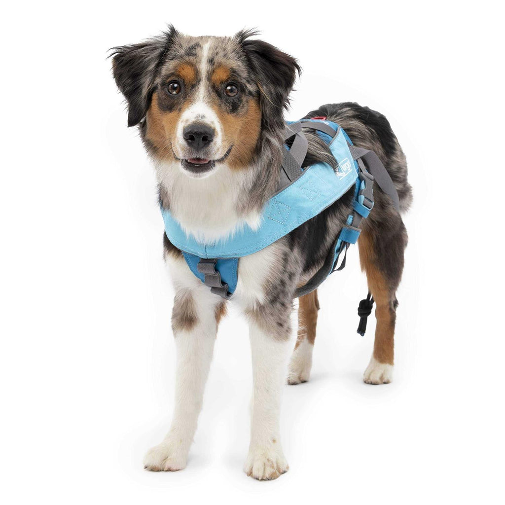 Dog Harness N649025
