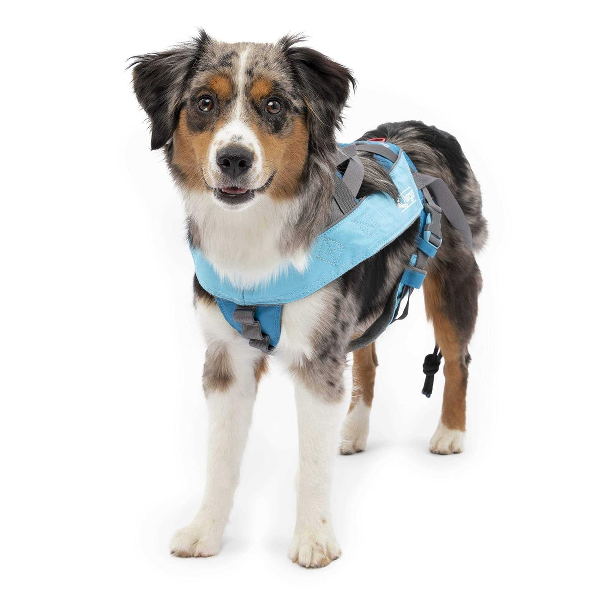 Dog Harness N649025