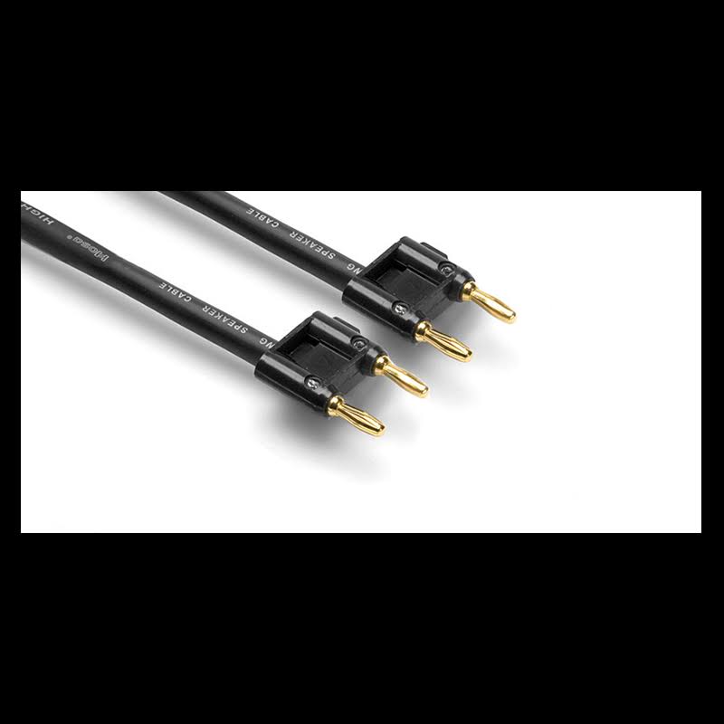 Dual Banana Speaker Cable 100 ft L850976