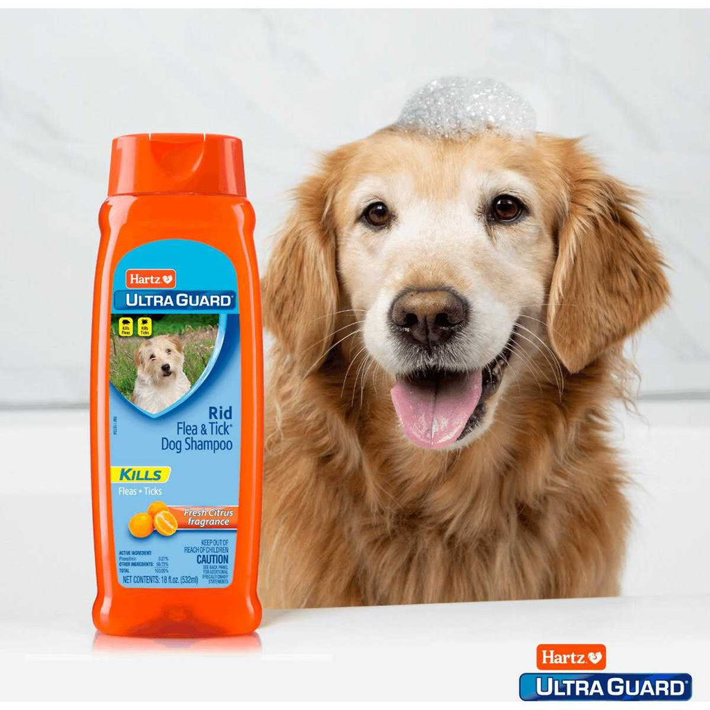 Citrus Flea & Tick Shampoo H3654