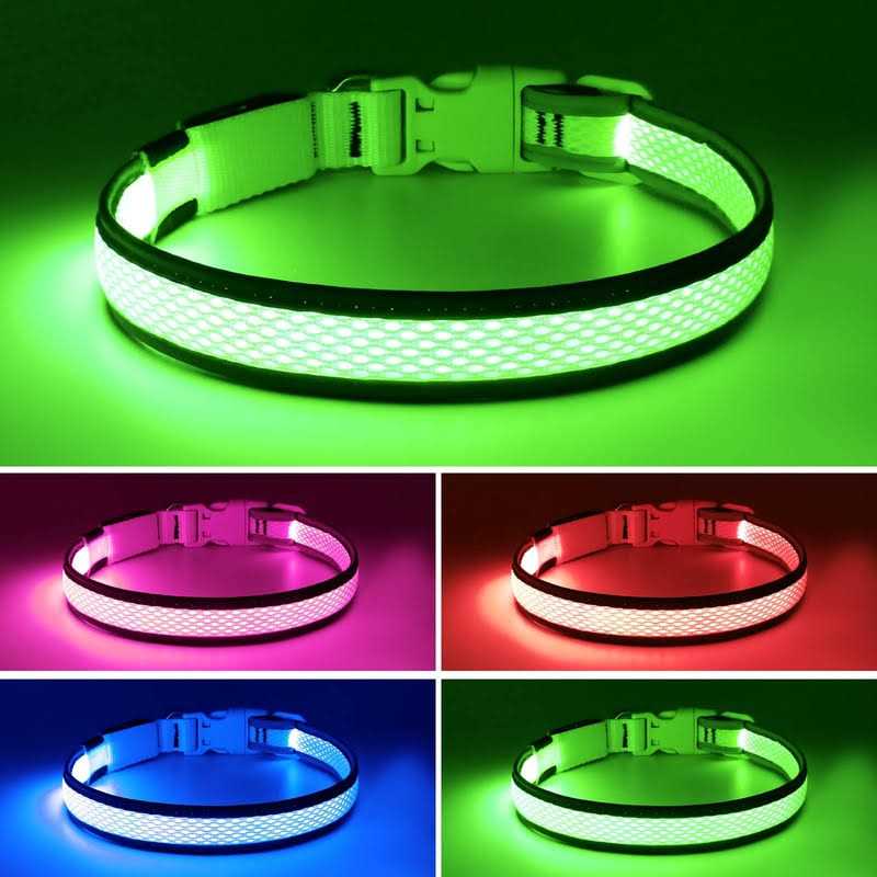 USB Rechargeable LED Dog Collar L44197