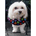 Dog Fence Bumper Q7956