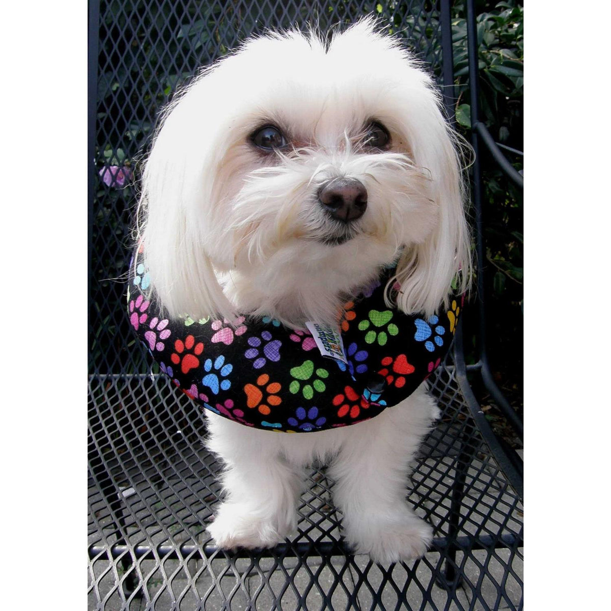 Dog Fence Bumper Q7956