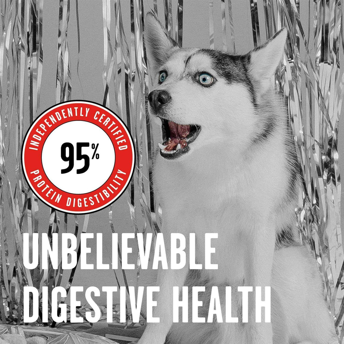 Freeze Dried Beef Dog Food Q587284