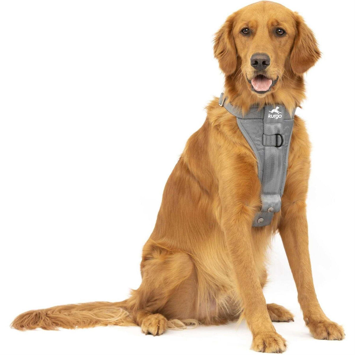 Dog Harness X628740
