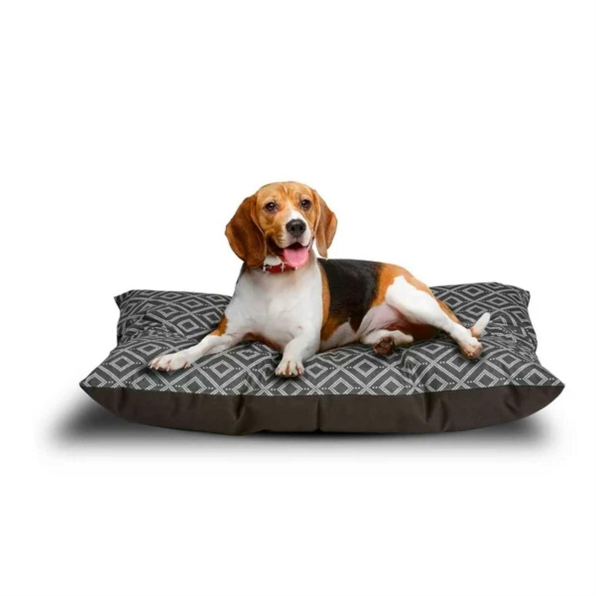 Tufted Pillow Pet Bed Q768629