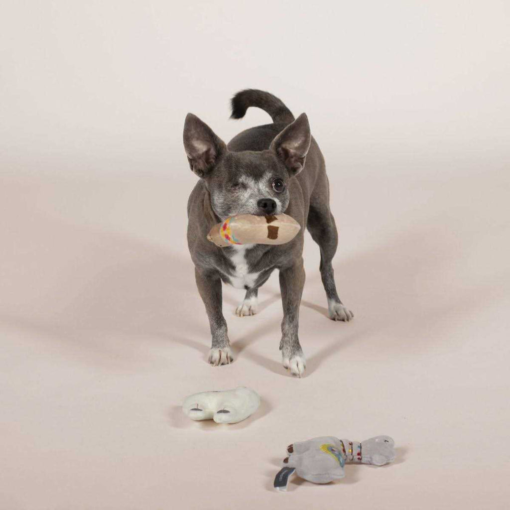 Pet Toy Set T503490