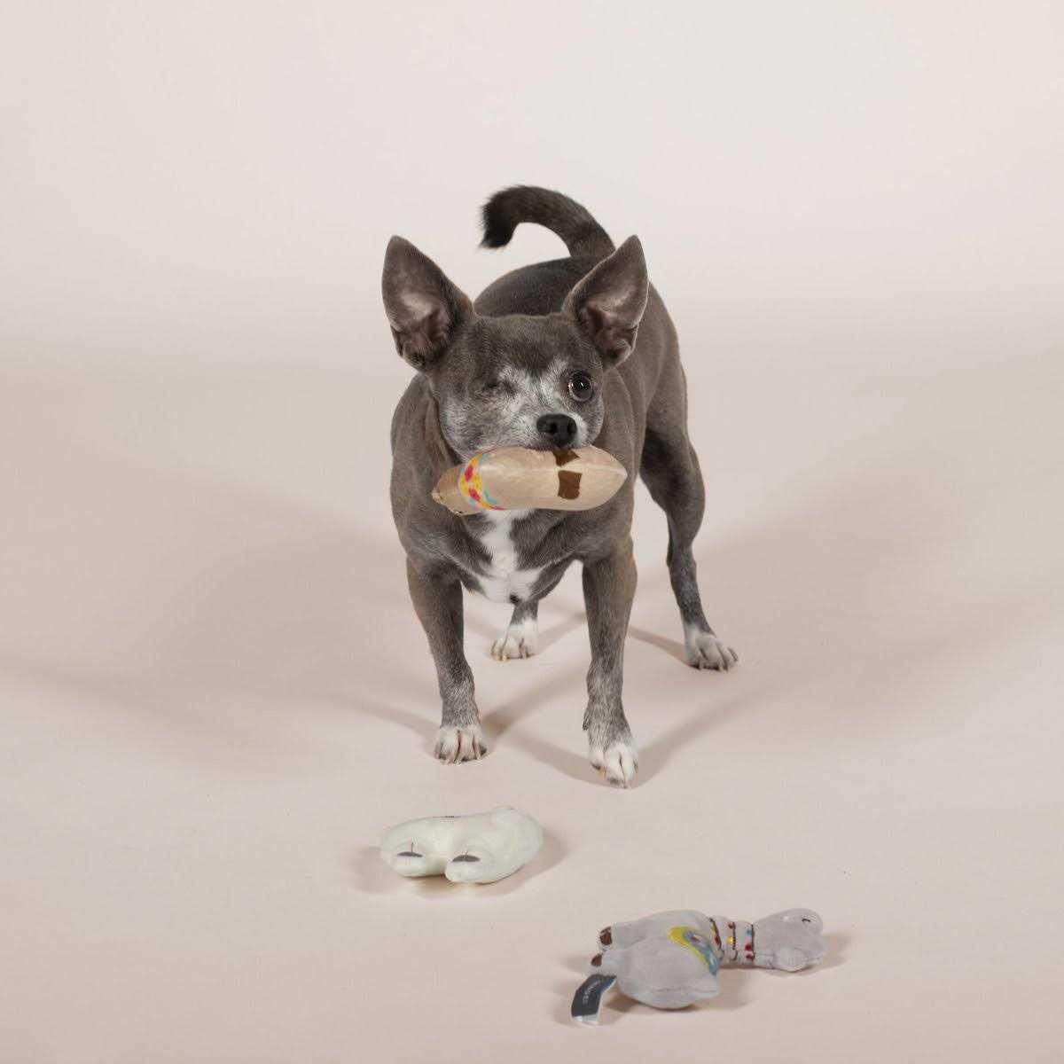Pet Toy Set T503490