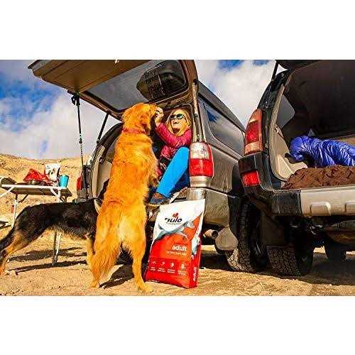 Turkey Dry Dog Food P3877