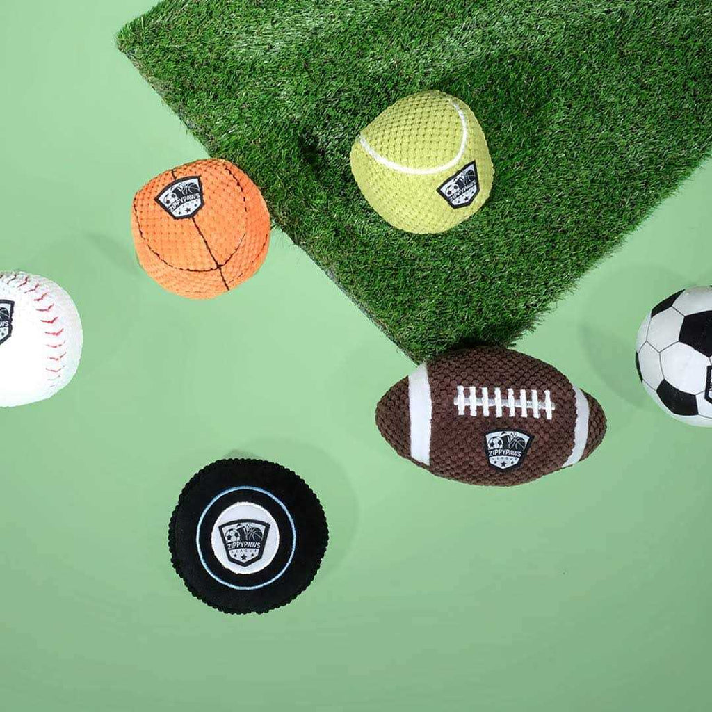 Football Dog Toy T63797