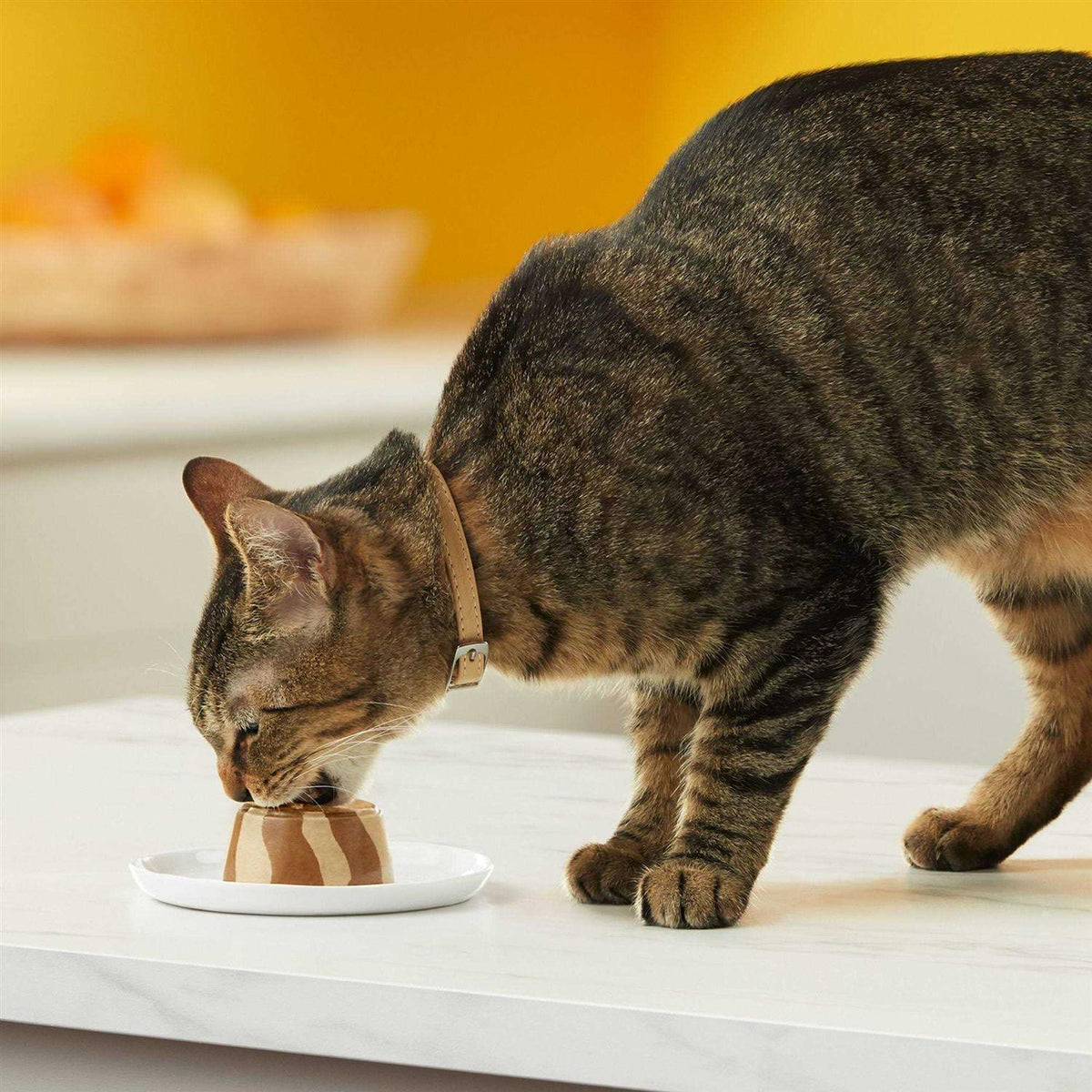 Cat Food G935515