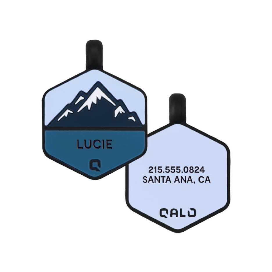 Silicone Dog ID Tag U898795