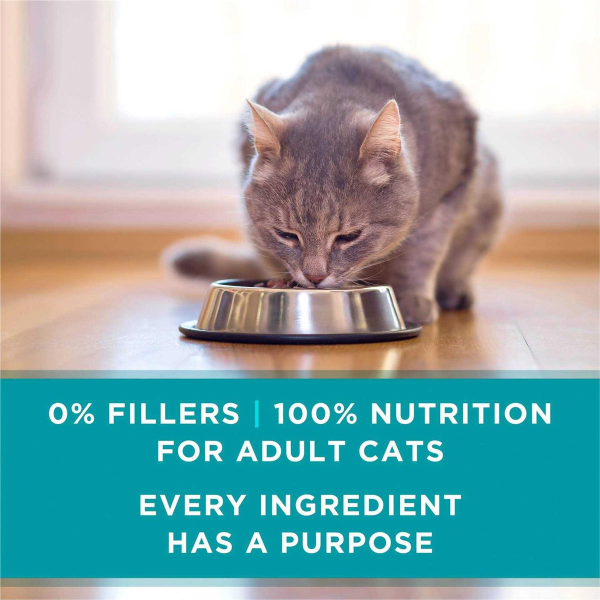 Beef & Liver Recipe Pate Wet Cat Food N6178