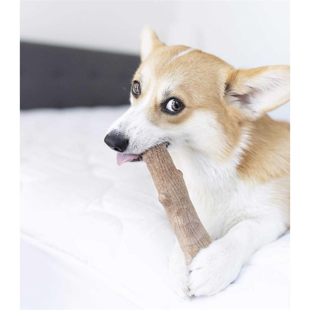Dogwood Stick Dog Chew Toy F587