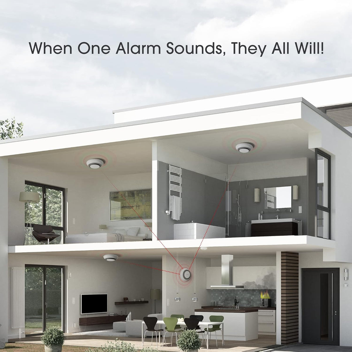 Wireless Interconnected Combination Smoke Carbon Monoxide Detector Alarm D814