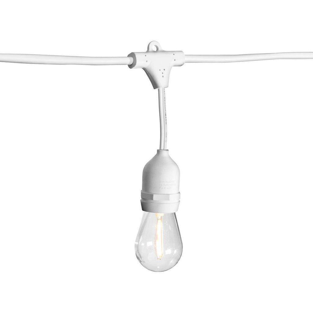 24 ft. LED Outdoor String Lights X299182
