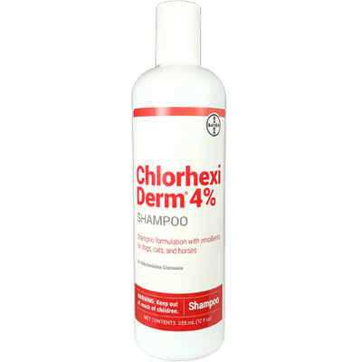 4% Shampoo 12 Oz for Dogs J5806
