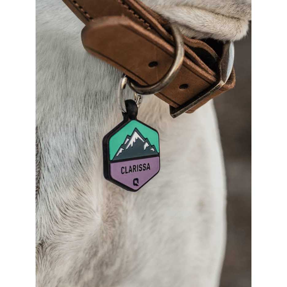 Silicone Dog ID Tag U898795