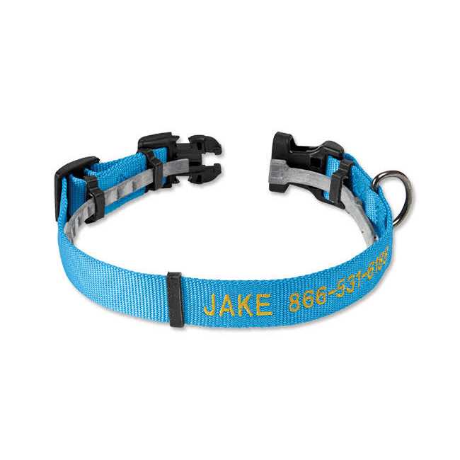 Personalized Flea and Tick Collar V97642
