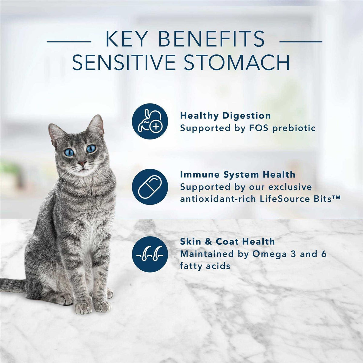Adult Dry Cat Food Brown Rice H424469