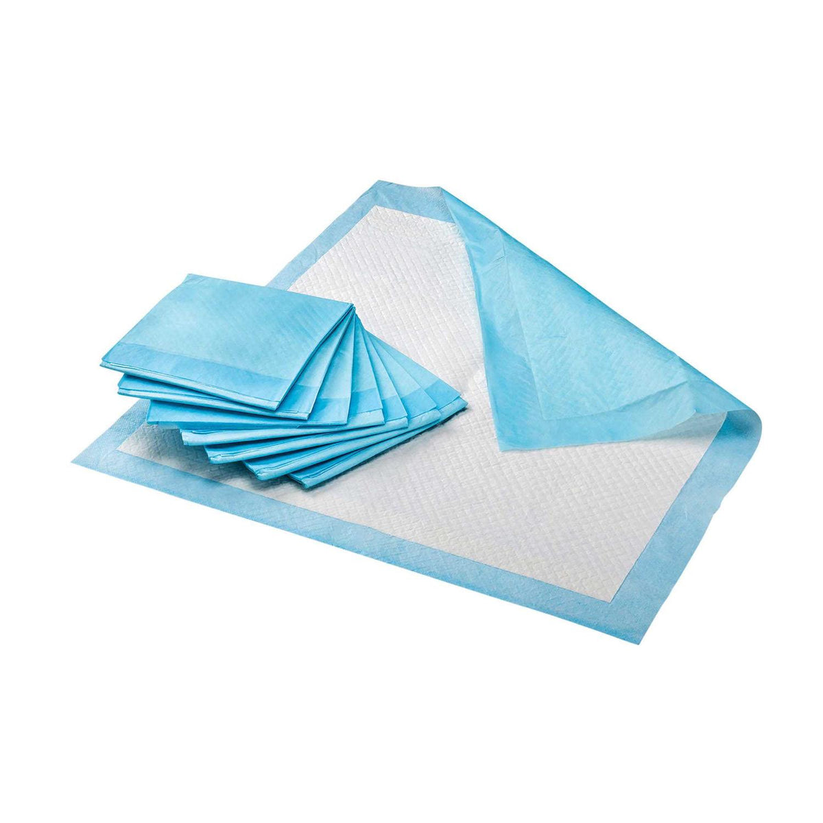 Pet Potty Pads 100 Pack H253696
