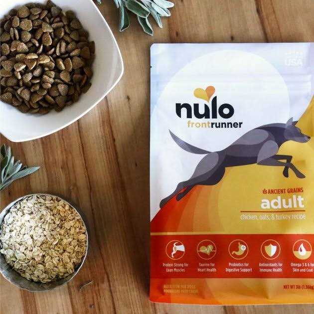 Turkey Dry Dog Food P3877