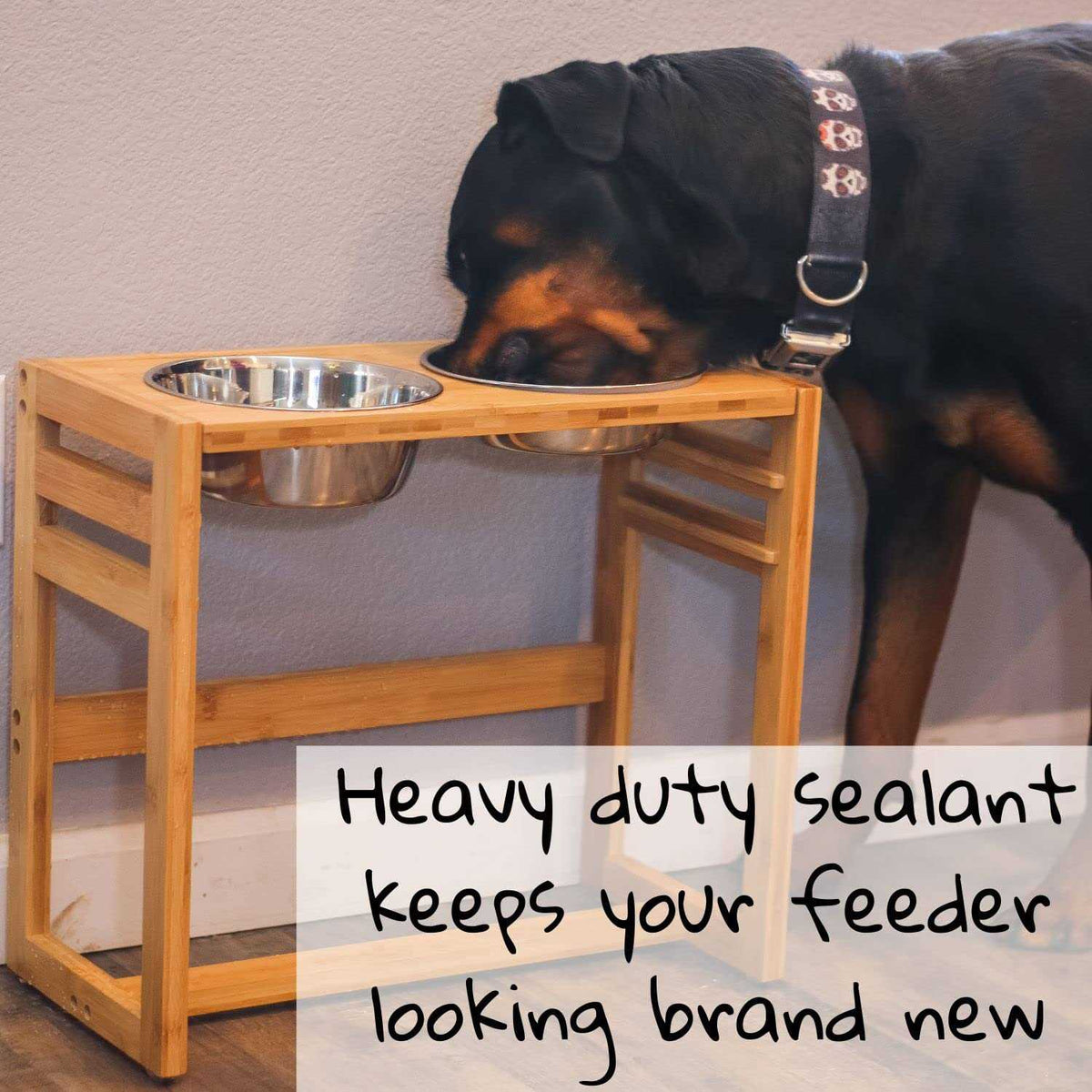 Adjustable Height Elevated Dog Bowls with Four Stainless Steel Bowls C9777