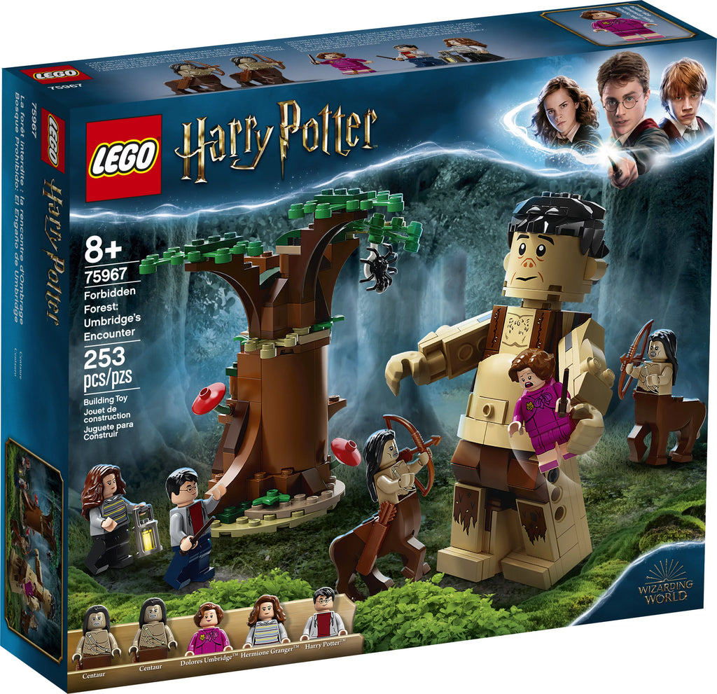 Harry Potter Building Toy with Minifigures 253 Pieces V421