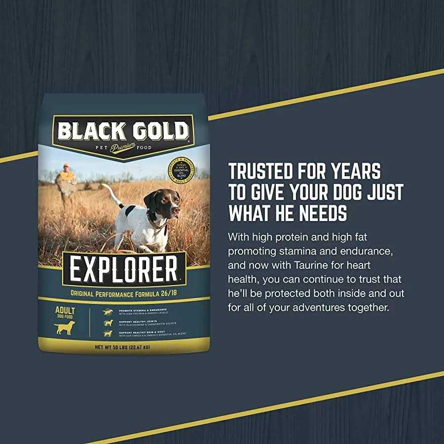 Dry Dog Food R22096