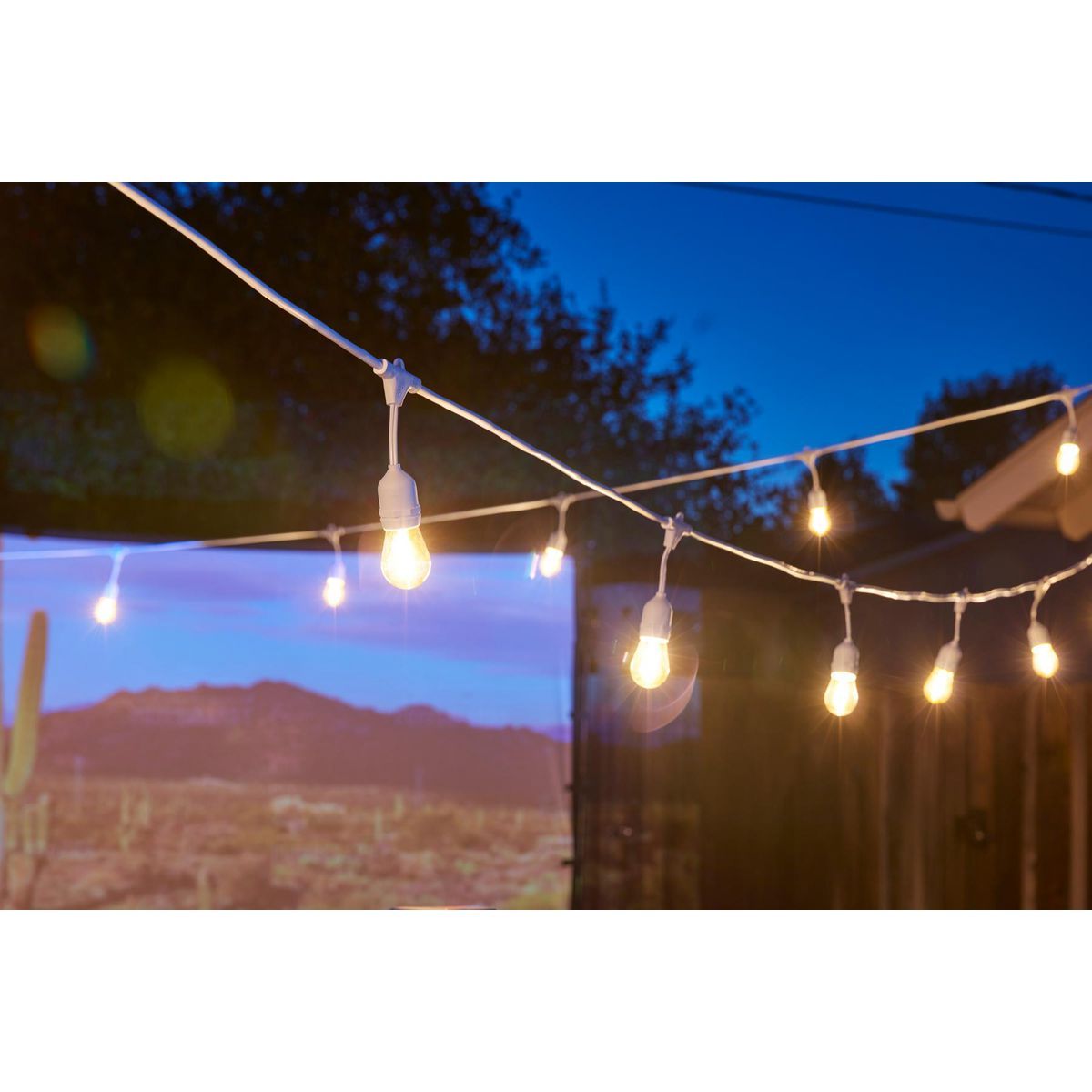 24 ft. LED Outdoor String Lights X299182