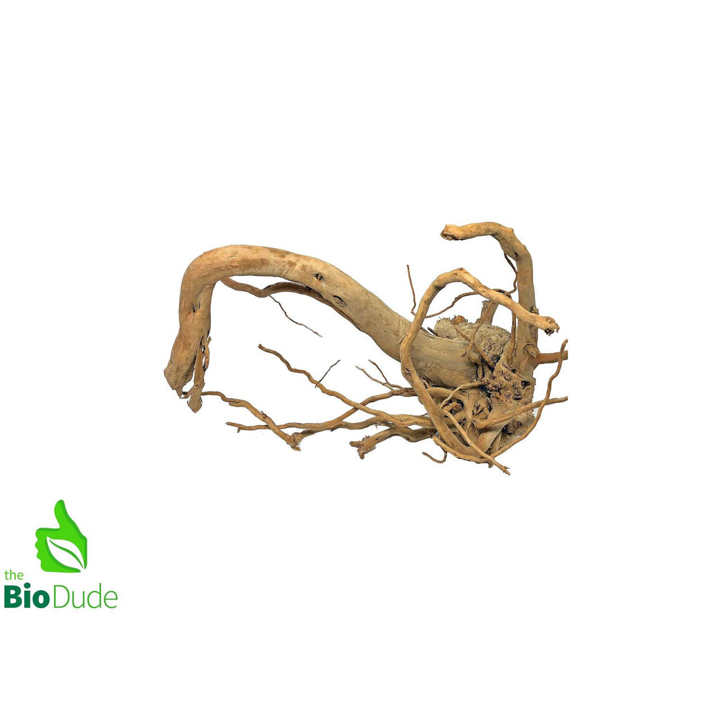Spider Wood G274