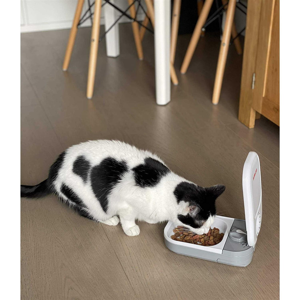 Automatic Pet Feeder H719