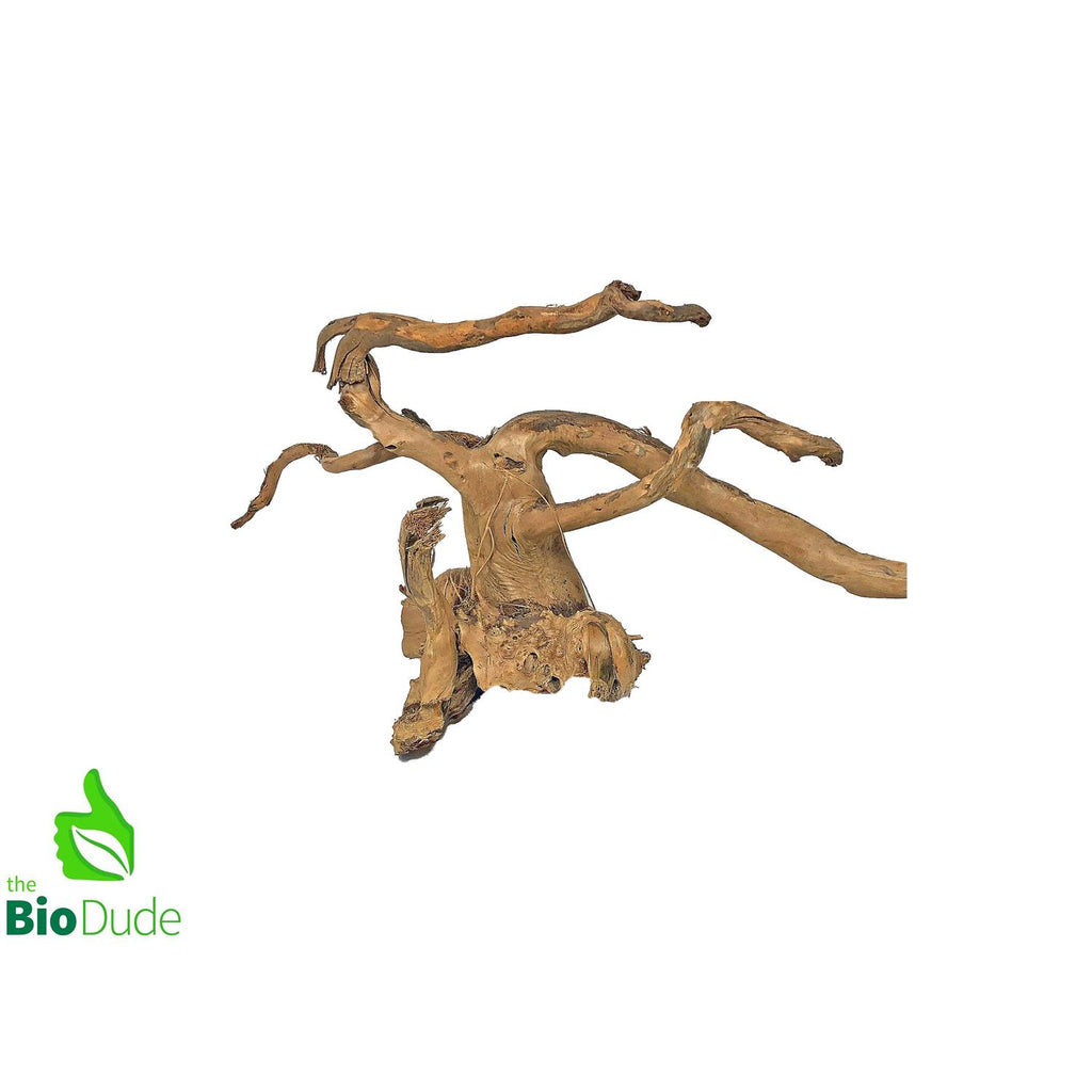 Spider Wood G274