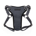 Small Dog Harness W75146