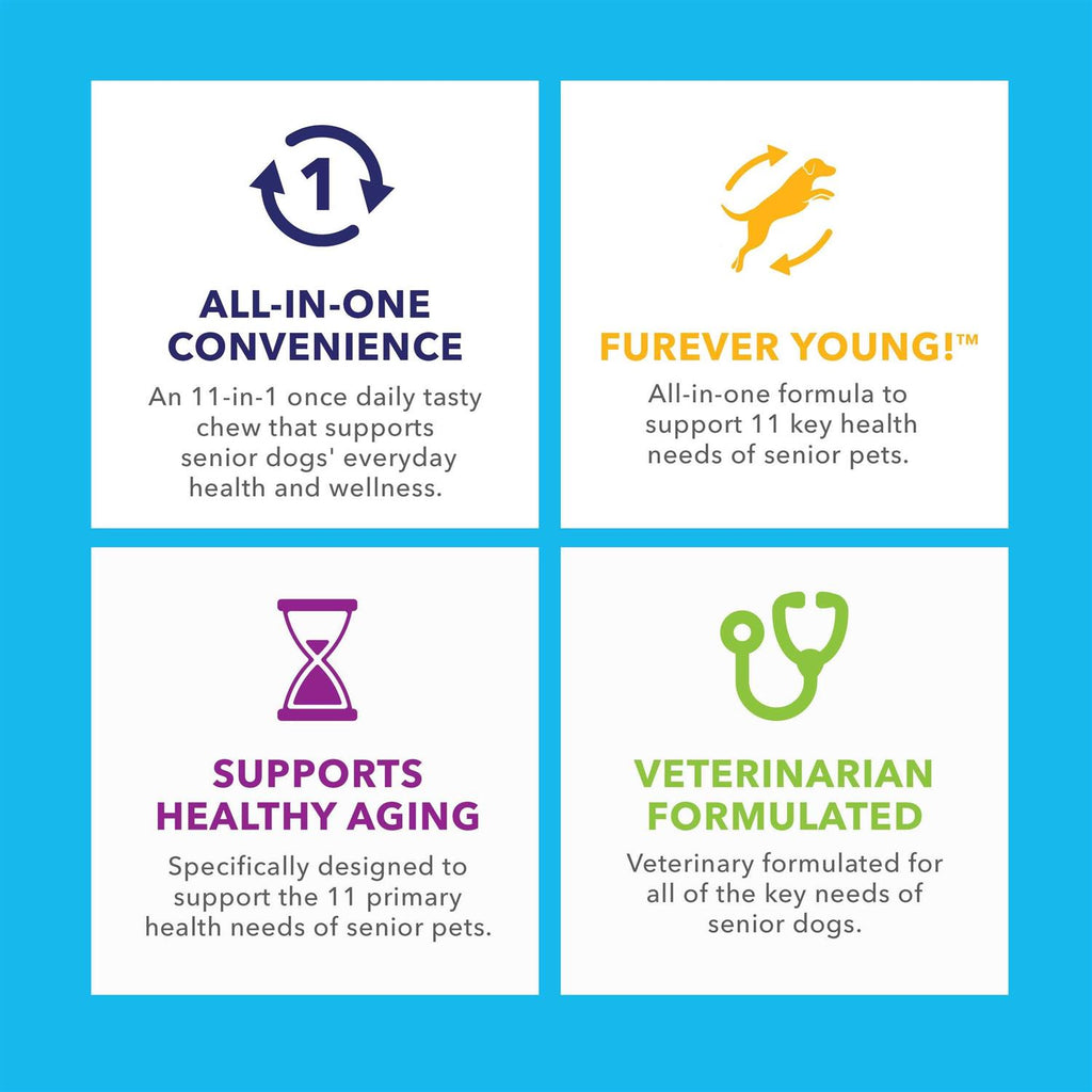Senior Dogs Supplement B6234