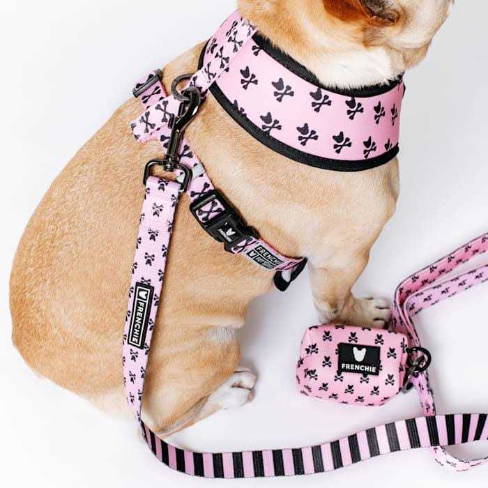 Reversible Harness J51453
