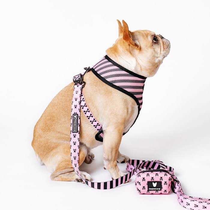 Reversible Harness J51453