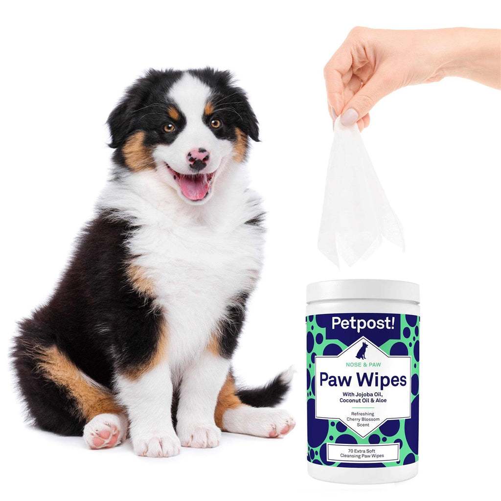 Dog Paw Cleaner with Coconut Oil, Jojoba Oil, and Aloe X758