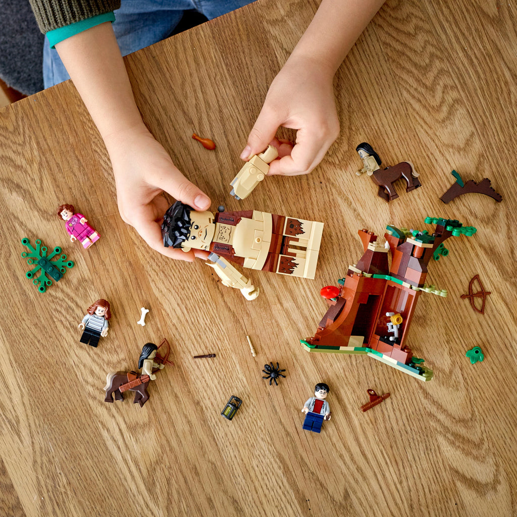 Harry Potter Building Toy with Minifigures 253 Pieces V421