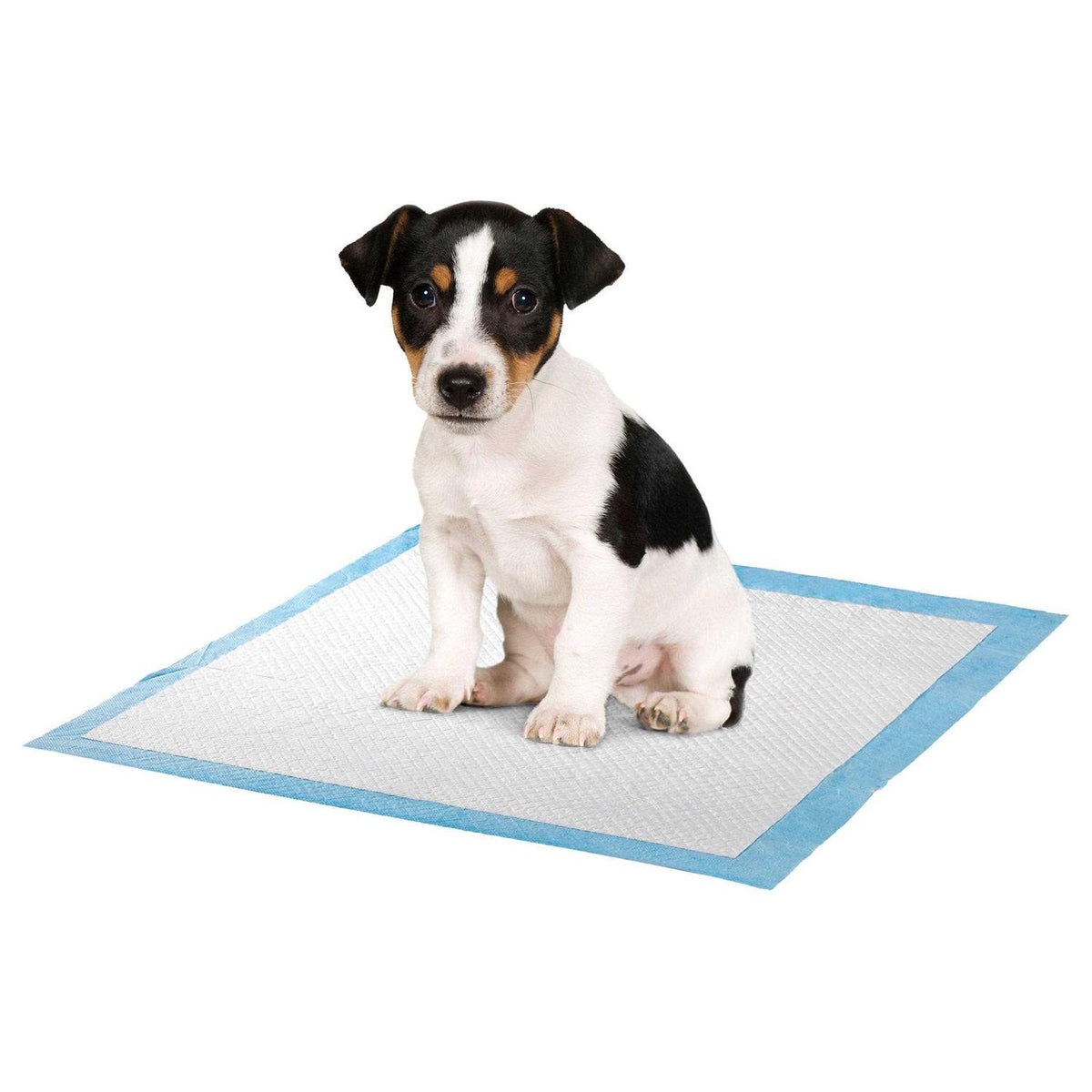 Pet Potty Pads 100 Pack H253696