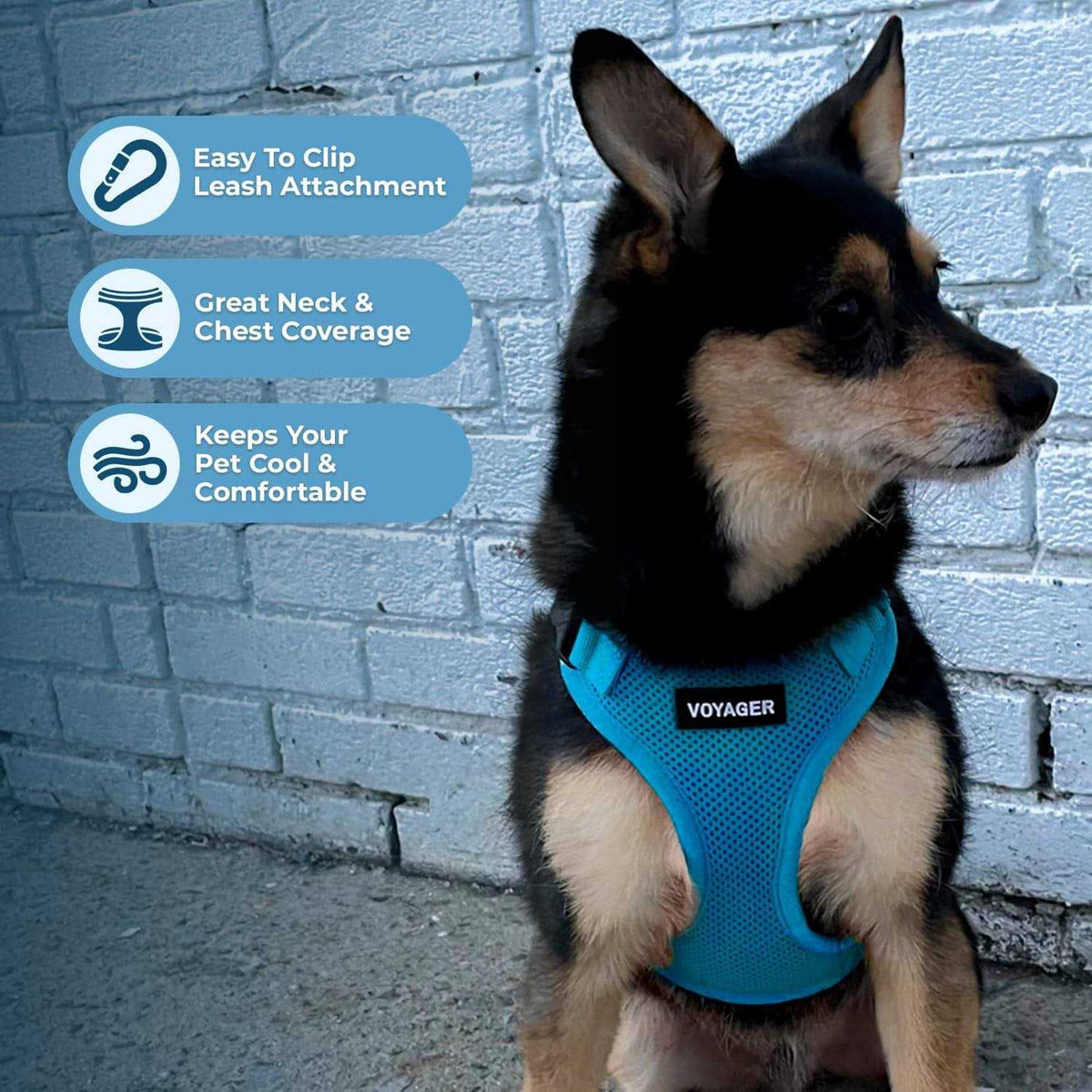Adjustable Mesh Step-in Pet Harness C807