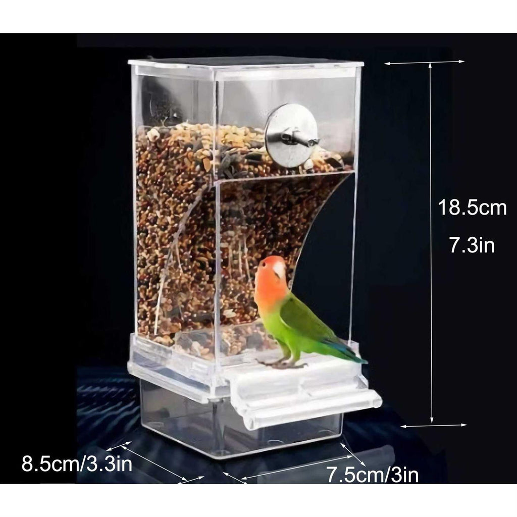 Automatic Bird Feeder A339129